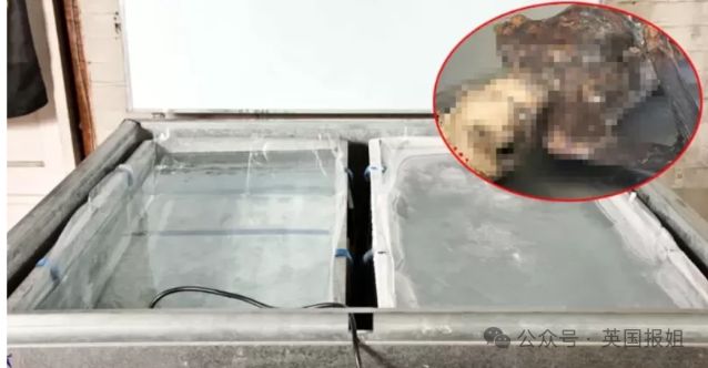 烤死还有员工受困大冰柜10年后仅剩白骨？爱游戏超市恐怖怪谈！女工误入烤箱被活活(图2)