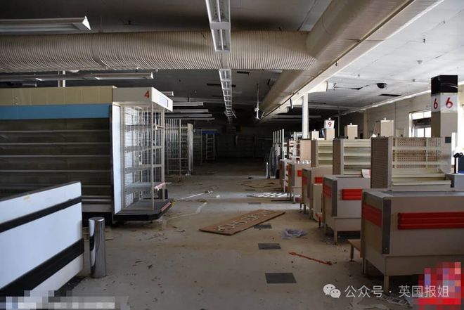 烤死还有员工受困大冰柜10年后仅剩白骨？爱游戏超市恐怖怪谈！女工误入烤箱被活活(图11)