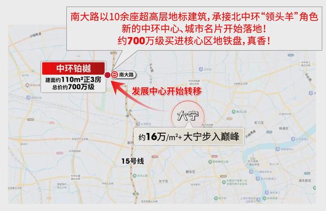 南大中环铂樾 这个盘是来炸场的爱游戏ayx700万级的产品(图8)