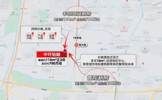南大中环铂樾 这个盘是来炸场的爱游戏ayx700万级的产品(图11)