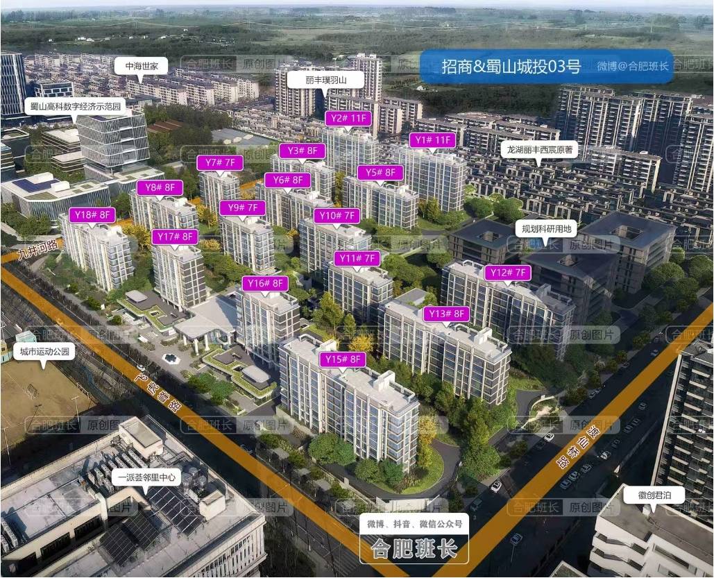 ）项目-【招商春和景明楼盘】潜力怎么样-楼盘评测爱游戏爱体育好房热搜NO1｜招商春和景明（合肥(图4)